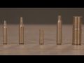 Sightmark Accudot Red Laser Boresights