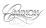 Cannon Safe brand logo