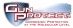 Gun Protect 2016 Logo