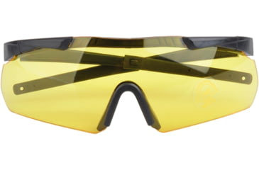 Image of Pro Ears High Performance Shooting Glasses with Interchangeable Lens, PEGLASS3