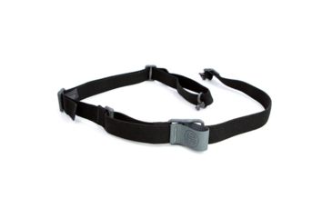 Image of SIG SAUER 2 Point Sling, Blue Force Gear SIGSLGBFG2PT