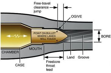 Image of Diagram of key areas