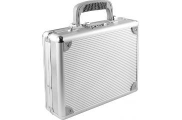 Image of TZ Case Single Pistol Case, Silver TZ0011SS