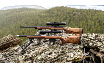 Image of WOOX Elegante Sporter Precision Ruger 10/22 Wood Rifle Stock w/Integrated Mini-Chassis, Right Hand, Short Action, Walnut/Brown, SH.GNS082.03
