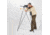 4 Stable Sticks Bush Essential Shooting Sticks, Dark Grey, BEB