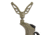 Allen Axial EZ-Stik Shooting Stick-Monopod, Olive, 61in, 21447