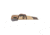 Allen Eliminator Shotgun Case, Coffee, 52in, 820-52