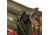 Allen Gear Fit Pursuit Shocker 52in Lockable Shotgun Case, Olive/Mossy Oak NWTF Obsession, 961-52