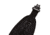 Allen Gunnison Neoprene Sling, Black, 8368