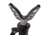 Allen Premium Carbon Fiber Shooting Stick w/ Adjustable Cams, Black, 21430