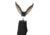 Allen Turkey Hunting Shooting Stick with Round Bottom, Black, 2164