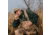 Avery Outdoors Finsher Gun Sling,Marsh Grass 57906