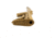 Blackhawk Axiom R/F Stock Ruger 10/22, Coyote Tan