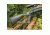 BlackHawk Axiom TH Thumbhole Rifle Stock for Remington 700BDL Rifle
