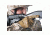 Blackhawk Knoxx Specops Adjustable Shotgun Stock