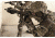 Blue Force Gear Vickers Padded 2-To-1 Sling, Red Swivel Version, Nylon Adjuster And Hardware, Foliage Green VCAS-2TO1-RED-200-AA-FG