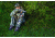 BOGgear SB-2 Sportsmans Bipod,Camo 735563