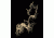 Browning Safes Gold Series Graphic