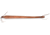 Browning X-Bolt Leather Sling