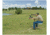Caldwell BR Pivot Premium Shooting Bench, Hardwood, Right and Left Handed