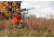 Caldwell DeadShot FieldPod,Max 488029