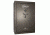 Cannon Safe Capitol Series Standard Safe, HT Charcoal Gray, 64 Gun CP604024-30-H12TEC-16