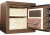 Cannon Safe Landmark Home Safe Collection Safe, HT Chocolate Brown LM1819-60-H10HEC-16
