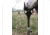 Carlson's Choke Tubes SRB Field Shooting Rest, Brown, 37814