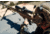Crosstac Precision Long Range Shooting Mat