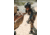 Crosstac Recon Shooting Mat