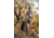 Eberlestock Bolt Sniper Rifle Side Scabbard, Coyote Brown A2LSMC