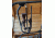 Great Day Quick-Draw Overhead Gun Rack, Black, Fits 54-60in rollbar depth QD862-OGR