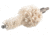 Hoppes 9 .223 Caliber/5.56mm Gun Cleaning Chamber Mop, 1321M