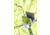 Hyskore Visw Grip Shooting Sticks, Od Green, 30284