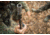 Jebs Choke Tubes Head Hunter 20 Gauge Turkey Choke Tube, Retay Masai Mara, .565 Choke Restriction, Matte, JPC-20J1/565