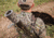Jebs Choke Tubes High-Voltage Waterfowl 12 Gauge Choke Tube, Retay Masai Mara, Close Range / Timber Choke Restriction, Matte, JPC-12J2/CR