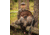 Jebs Choke Tubes High-Voltage Waterfowl 12 Gauge Choke Tube, Retay Masai Mara, Close Range / Timber Choke Restriction, Matte, JPC-12J2/CR