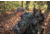 Jebs Choke Tubes High-Voltage Waterfowl 12 Gauge Choke Tube, Retay Masai Mara, Close Range / Timber Choke Restriction, Matte, JPC-12J2/CR