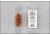 KleenBore Less-Lethal Projectile Care Tool, 37/40mm Phosphor Bronze Bore Brush, 1009448