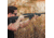 Magpul Industries PC Backpacker Stock, Ruger PC Carbine, Black, MAG1076-BLK