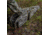 Primos Hunting Scoped Rifle Case, 48in, Mossy Oak Bottomland, Hang Tag, 65635