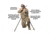 Primos Hunting Trigger Stick Gen 3 Tall Bipod,24-62in,Truth Camo,Clam, 65814