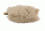 Pro-Shot Pro-Shot Grenade Launcher Cleaning Mop, White w/ Brass Core, 37GLMP