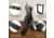 Rush Creek Creations Deer Camp Portable 10 Gun Folding Storage Rack, Black, 38-0238