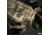 Savior Equipment MultiCam Specialist Pistol Case, Multicam Original, 12.5in L x 8.5in H x 2.5in W, HC-DGSPORT-WS-MCOG