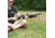 Shooters Ridge 40857 Pivot Bipod 13.5-23 in