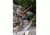 Slicker Gun Slicker Gun Cover 38- 56in, Camo, Medium, GSXFD10-D24