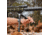 Spartan Precision Equipment Vidarr Bipod, DiscLok M-Lok Adapter, Black, SP01-046-R-BLK