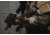 Sylvan Arms Quick Detach Sling Attachment, Black, QDR200