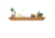 Tactical Walls 1242 Top Locking Shelf w/ Standard Trim, Early American, 1242TLEAN52